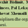 Me sukses përfundoi kuvendi i Lshf A